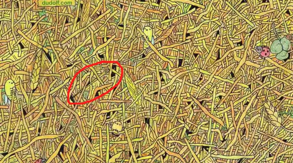 Optical Illusion brain game iq test needle hidden pile of straw