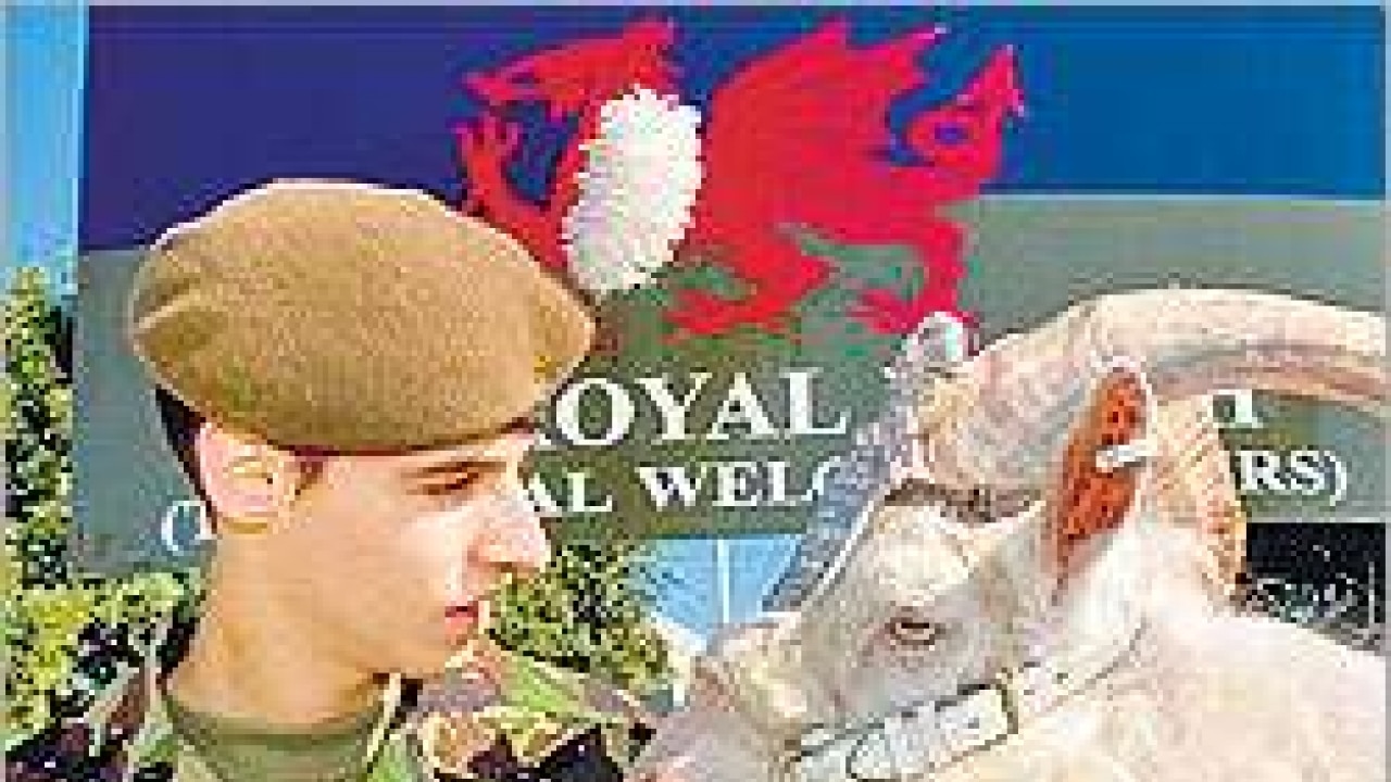 British army's regimental goat demoted