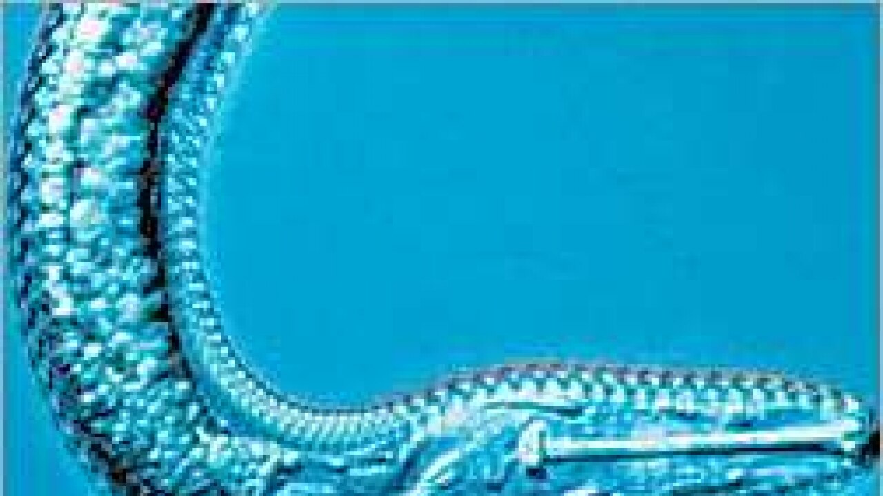 Smelling trouble Quest for ‘cybernose’ opens a can of worms