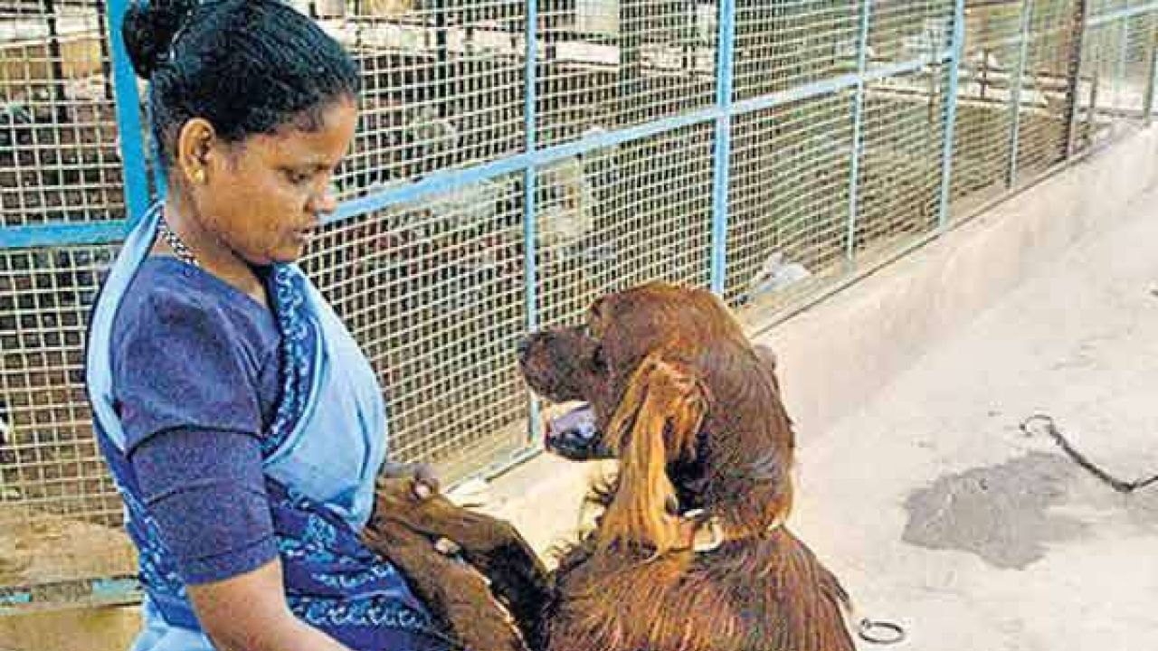 HalfLife 2 "Two Points" Achievement & Dog's Ball YouTube