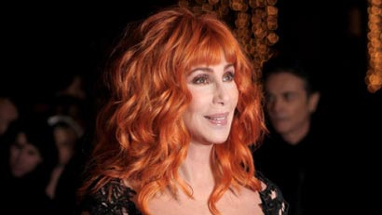 Cher sports red hair at 'Burlesque' premiere but fails to mask facelift ...