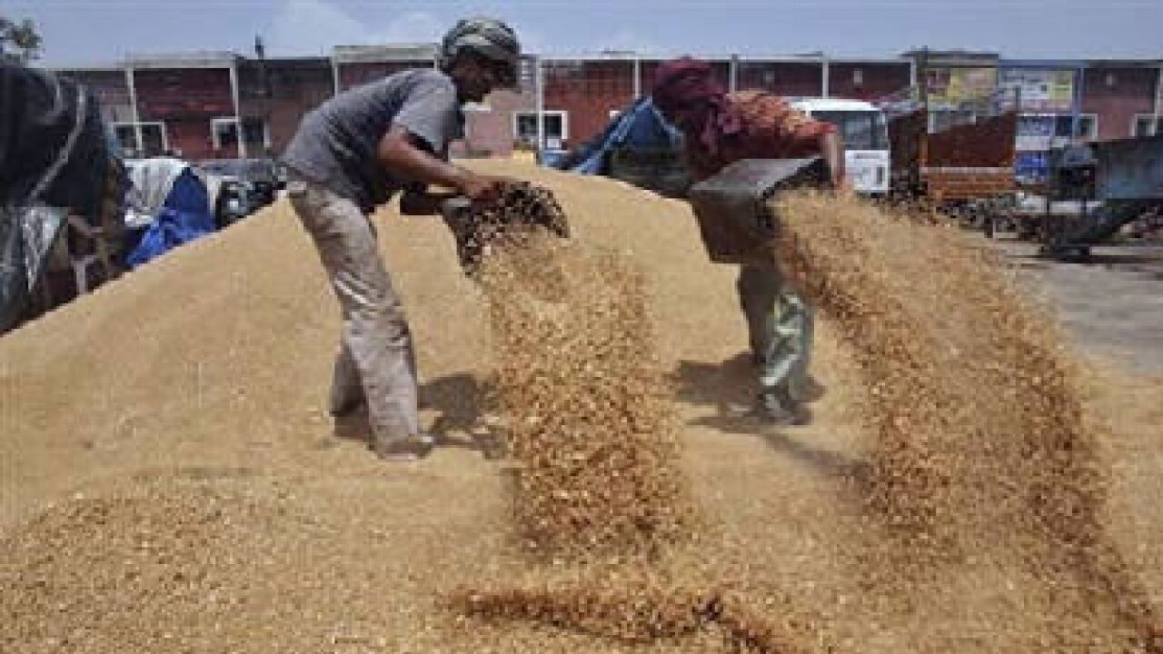 India Should Allow Wheat Rice Exports Sharad Pawar