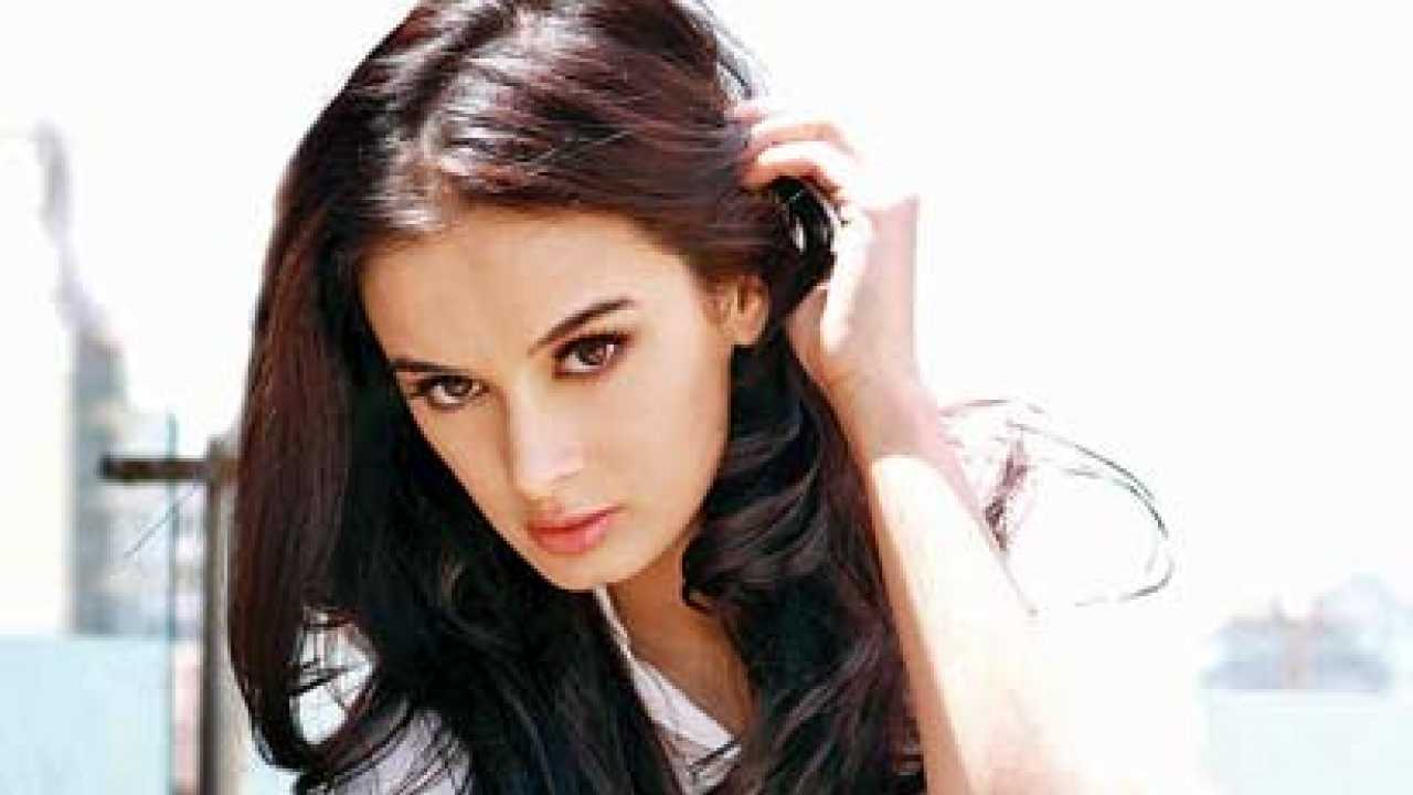 Evelyn Sharma all set to take over Bollywood