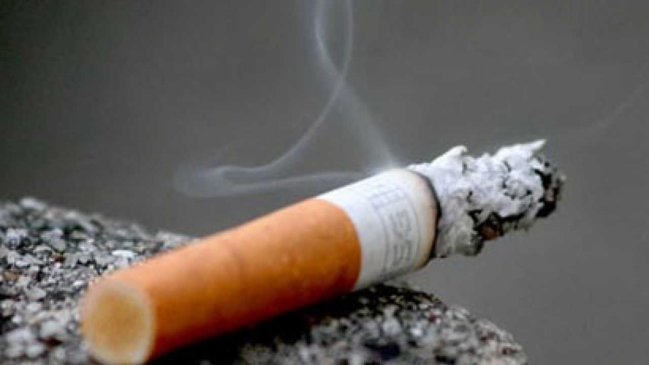 Smoking can ‘rot’ your brain, warn researchers