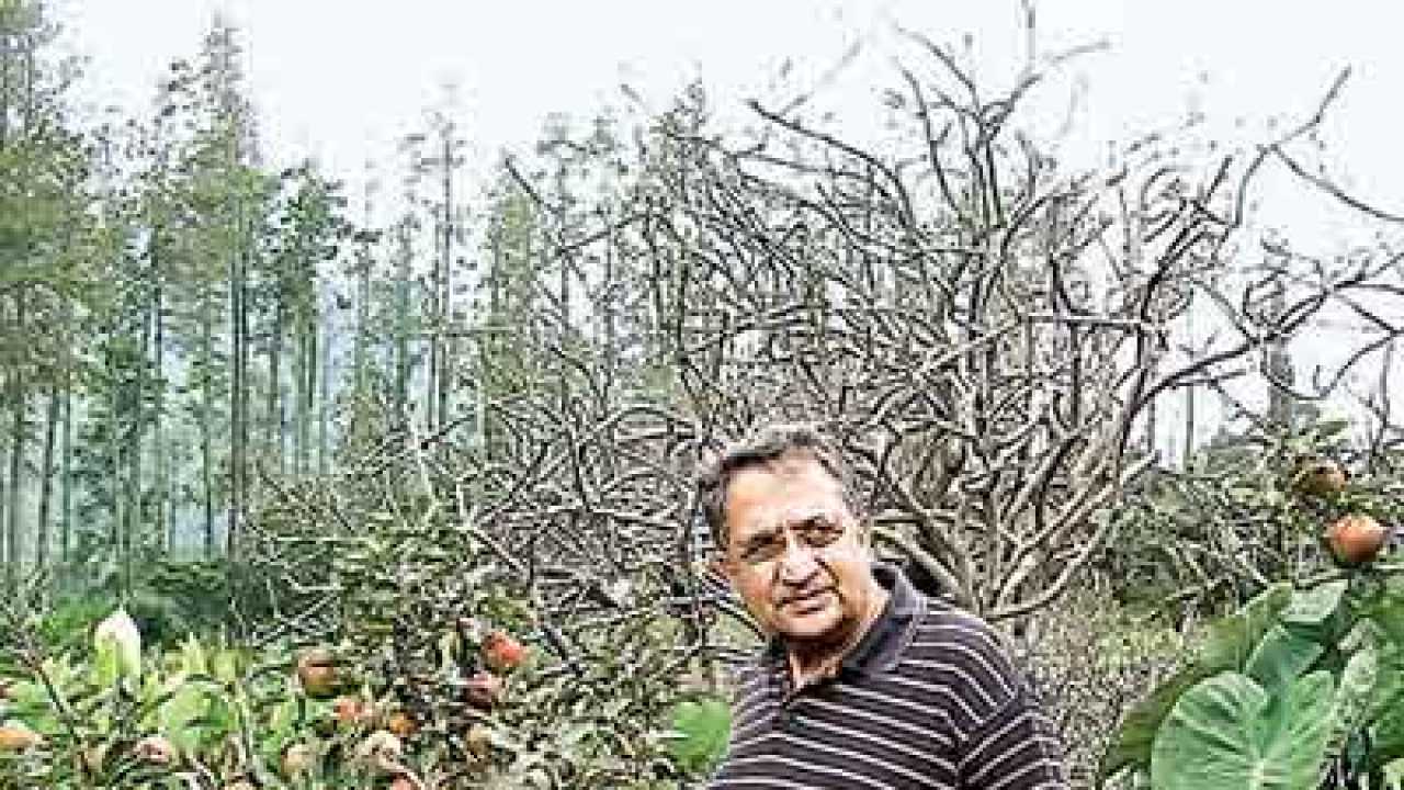 Can we grow apples in Karnataka? Yes, says C Parmar