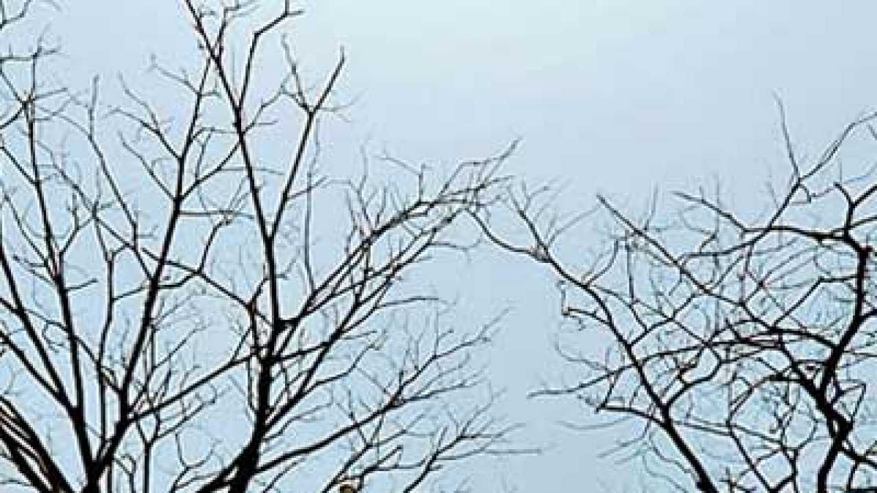 Scorching heat can cause blood clot in brain