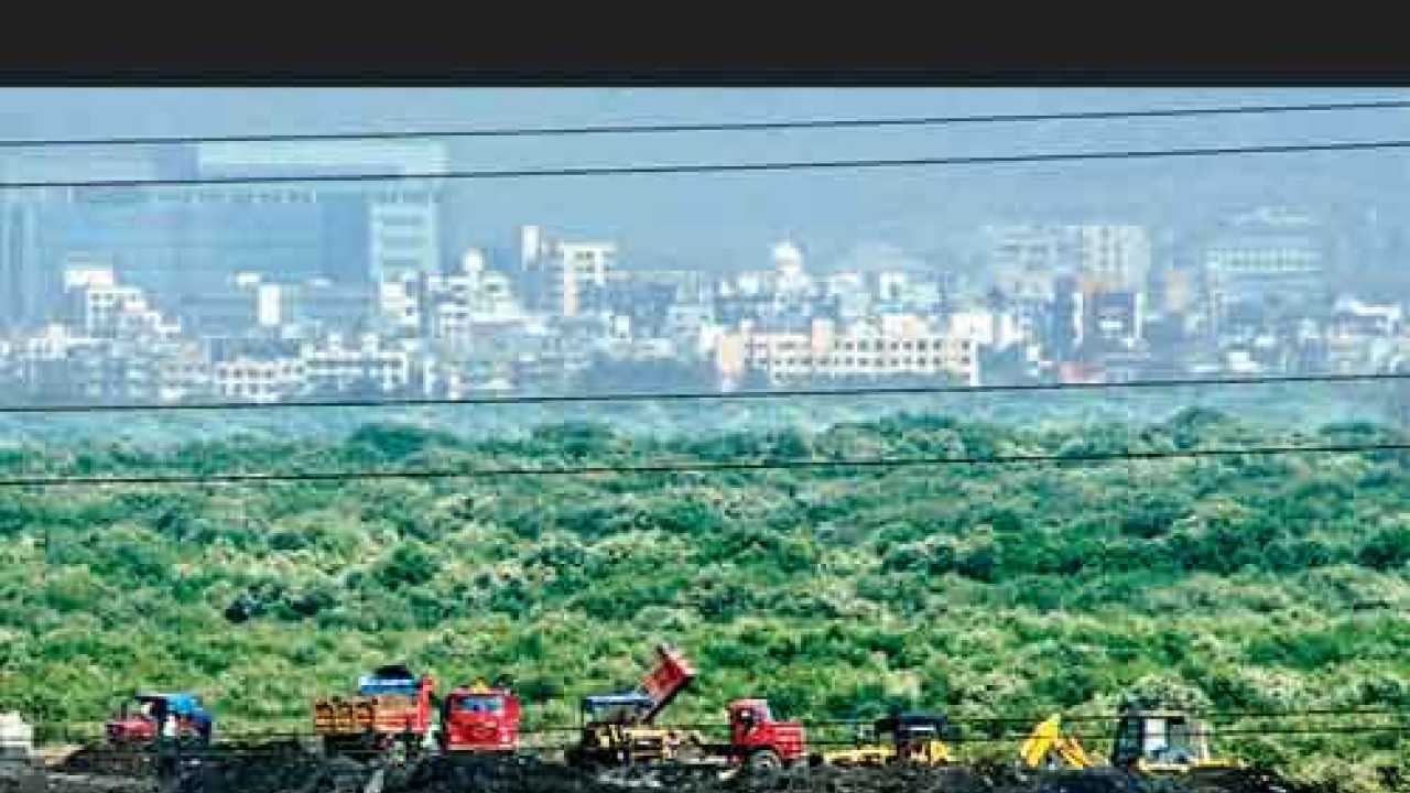 HC directs Ministry of Environment and Forests (MoEF) to probe ...