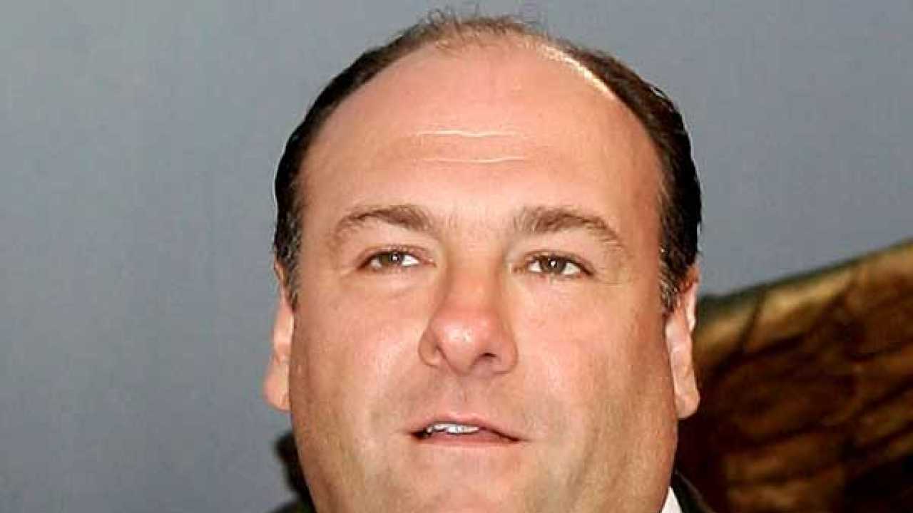 James Gandolfini wolfed 2,730 calorie fried food before heart attack