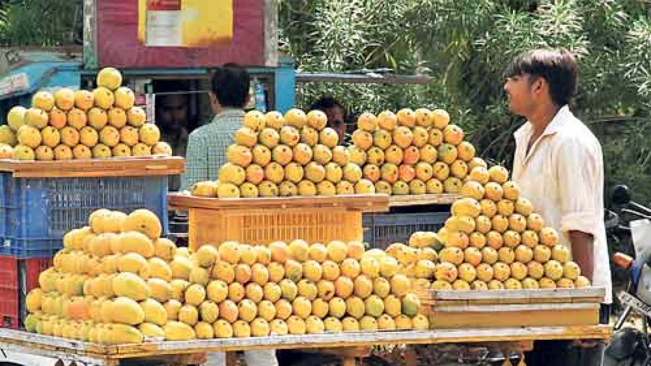 Ahmedabad Mangoes set to bid adieu