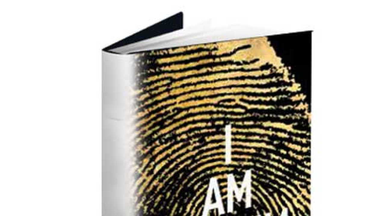 i am pilgrim novel