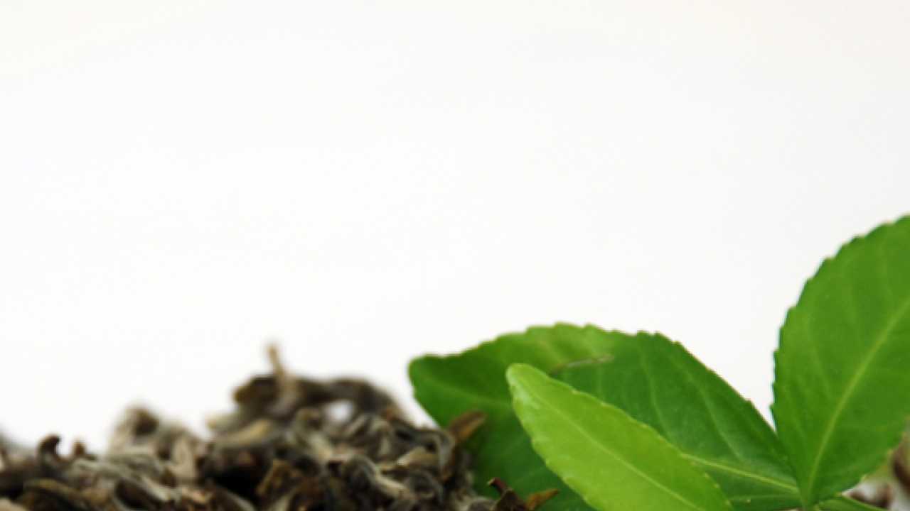 Green tea and fermented pawpaw can prevent diabetes