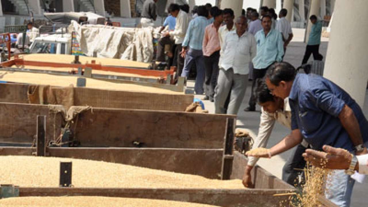 India may produce record wheat output this year: Agriculture Secretary