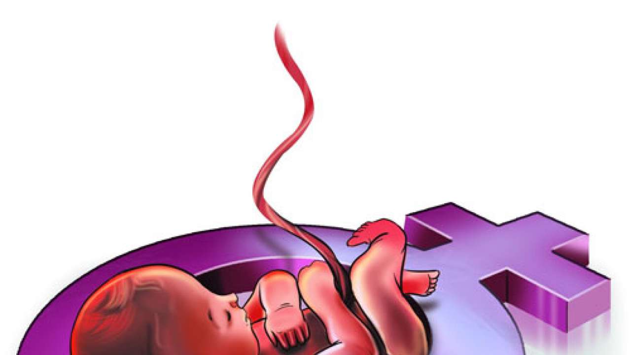 Dna exclusive: maharashtra medical council to punish sex test offenders
