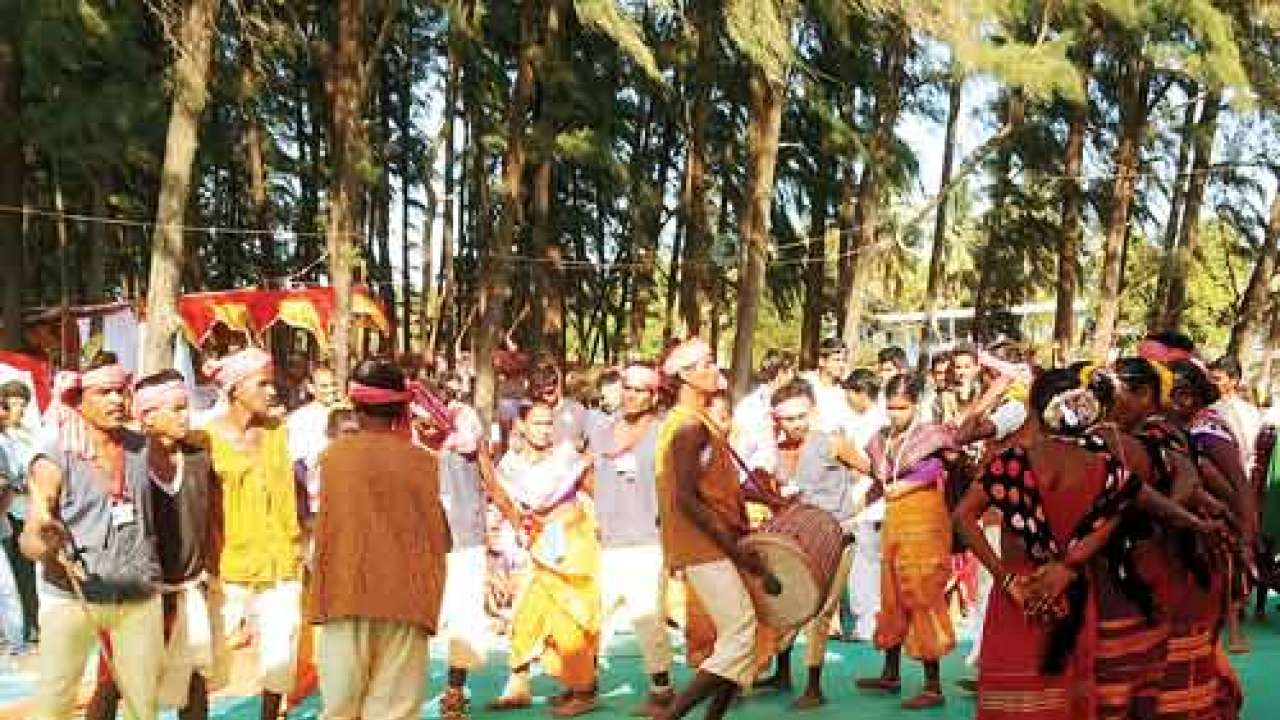 Maharashtra Government Plans To Revive The Age Old Tarpa Dance