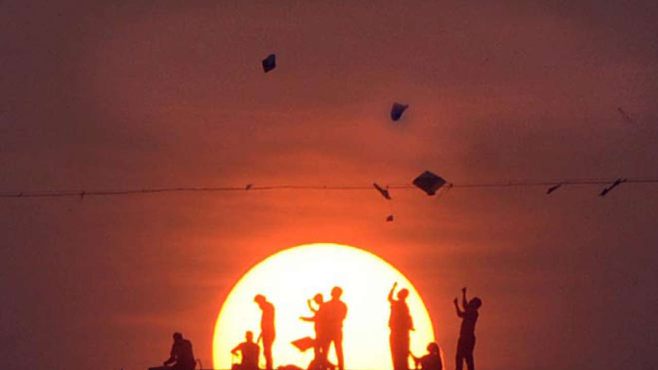 Mumbai sky sees thousands of kites flying high on Makar Sankranti