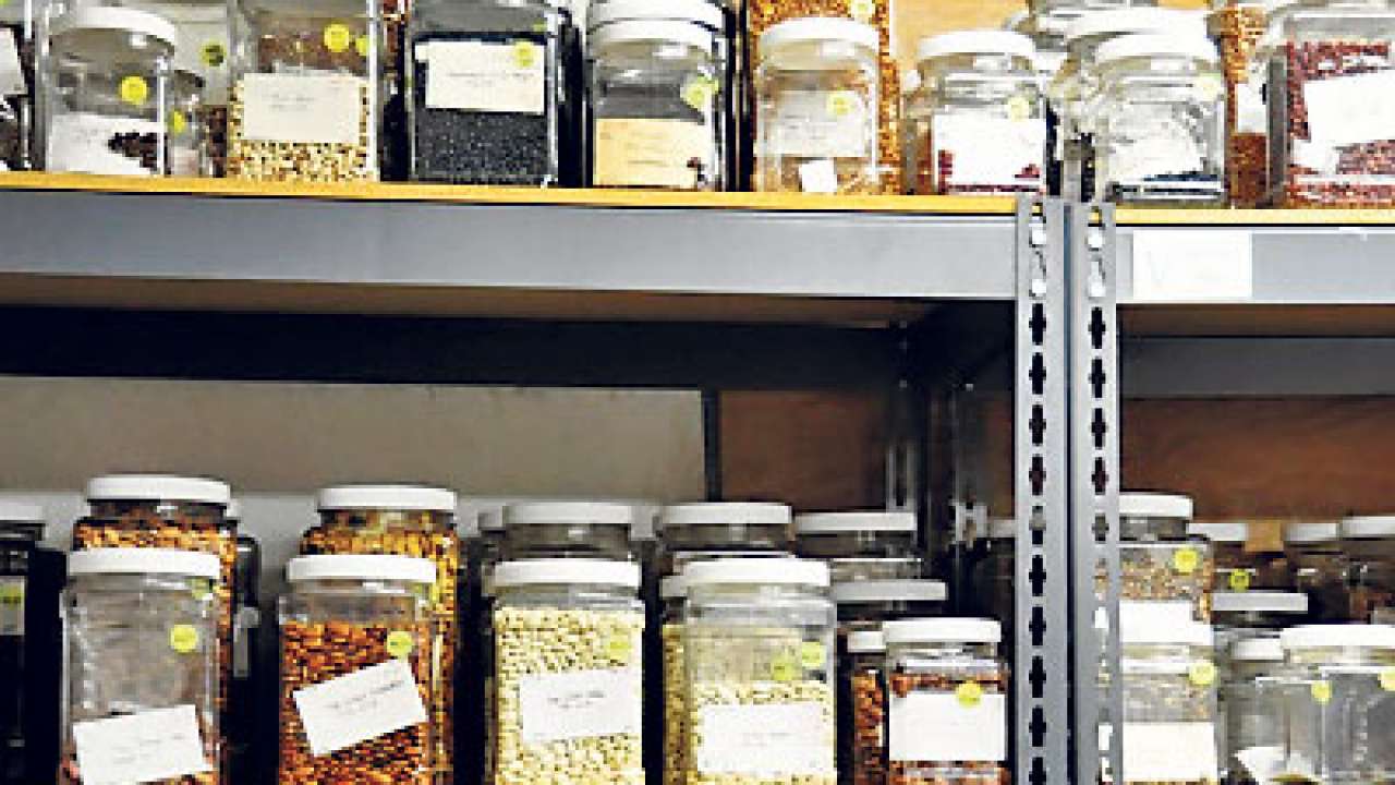 now-a-seed-bank-to-protect-local-varieties-of-crops