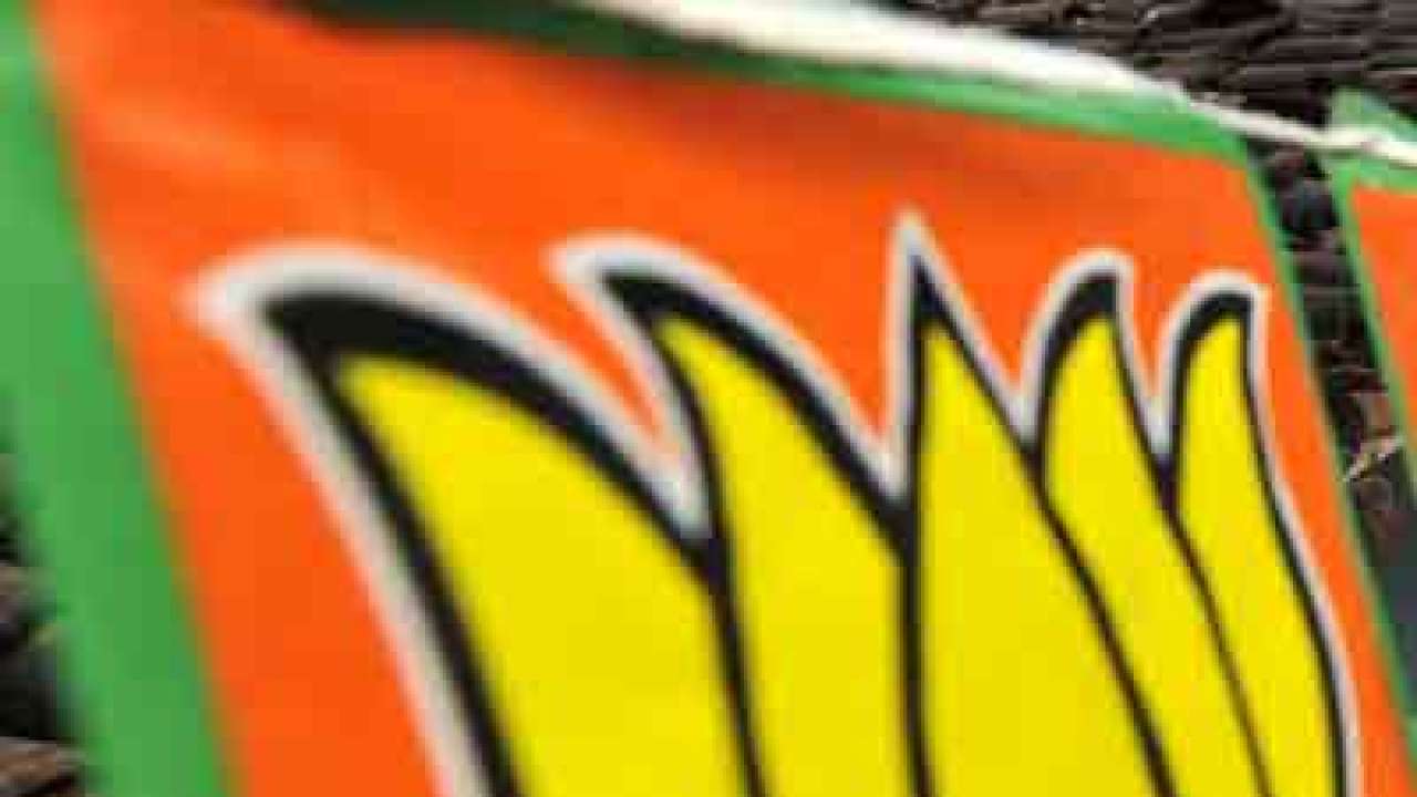 BJP to emerge as single largest party in Lok Sabha polls as per reports