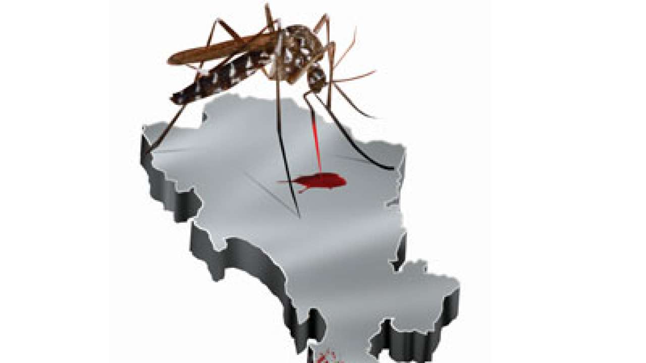 It's April and 3 cases of Malaria detected