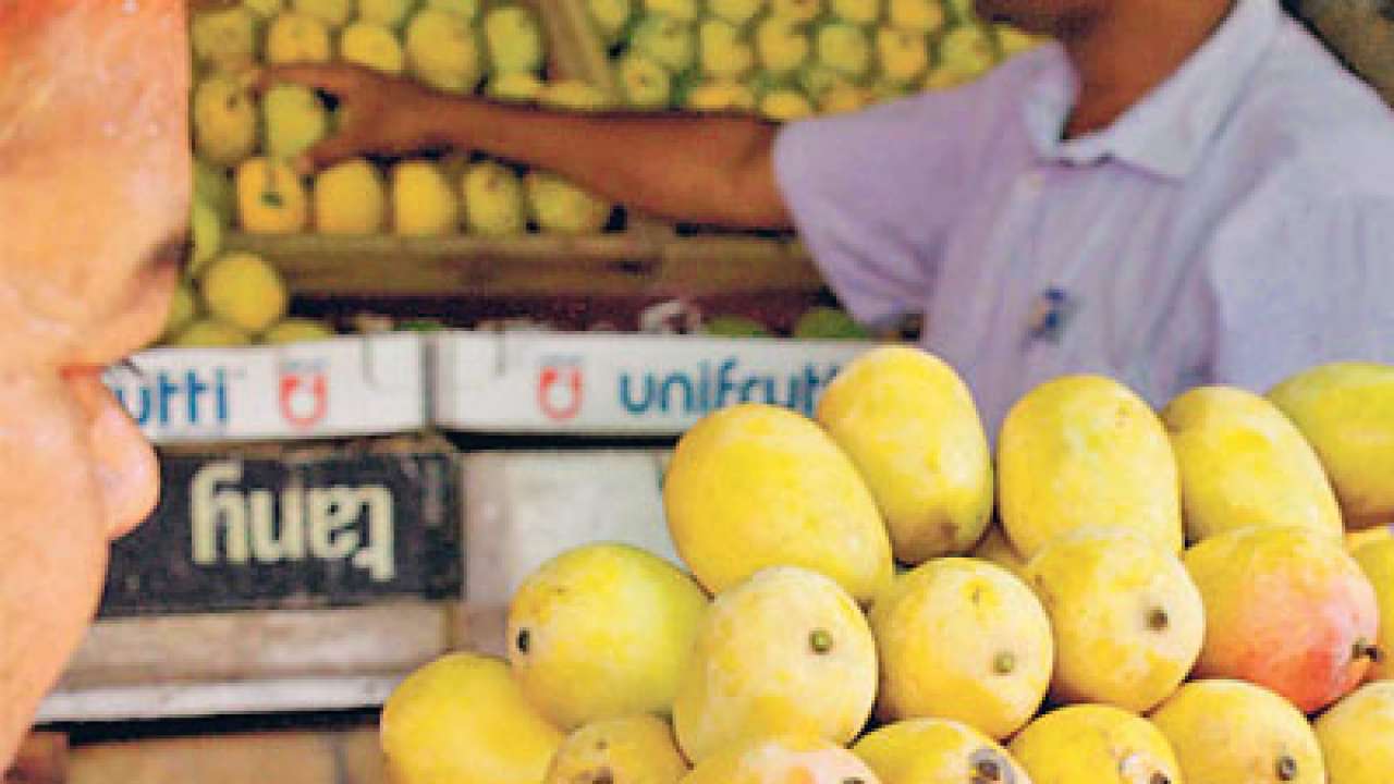 Ahmedabad Municipal Corporation destroys 4,662 kg mangoes in a single day