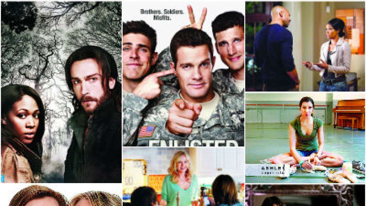 10 great TV shows you missed this season