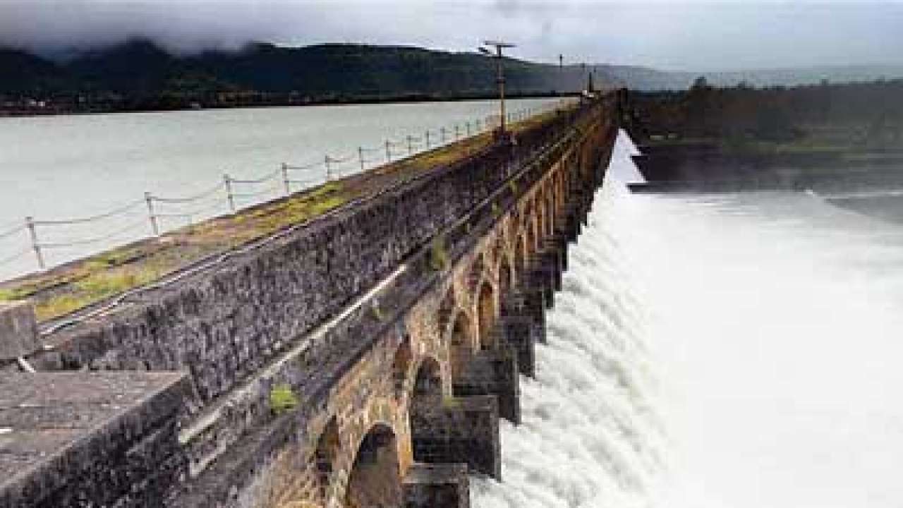 Punjab, Haryana voice concern at lower water level in Pong dam