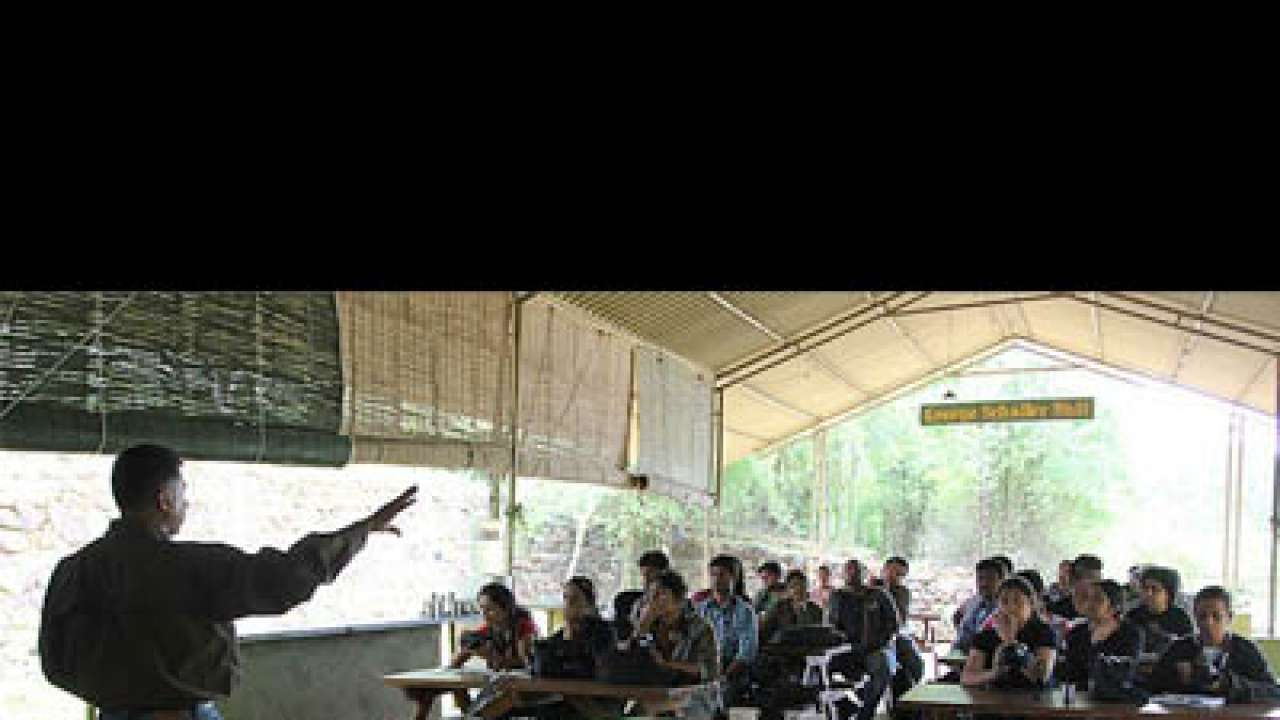 Lighting the way into the wild