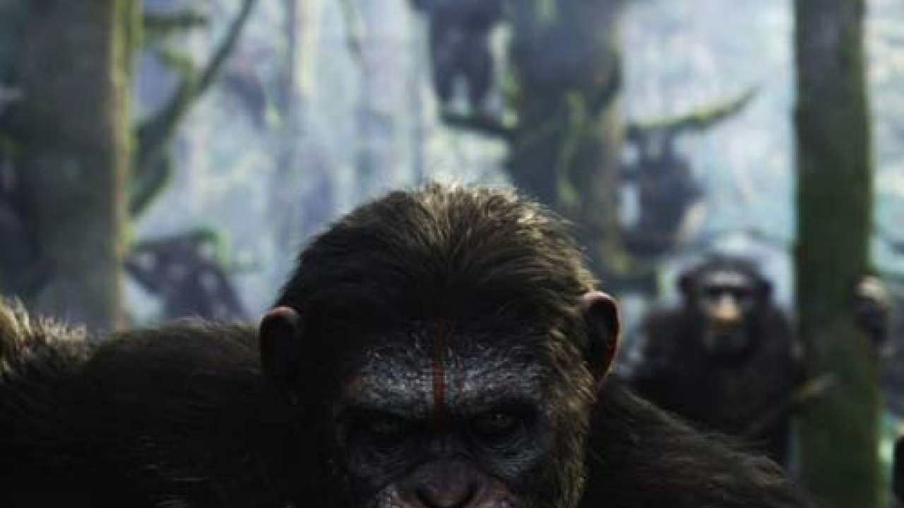 Film review: 'Dawn of the planet of Apes' takes you on journey