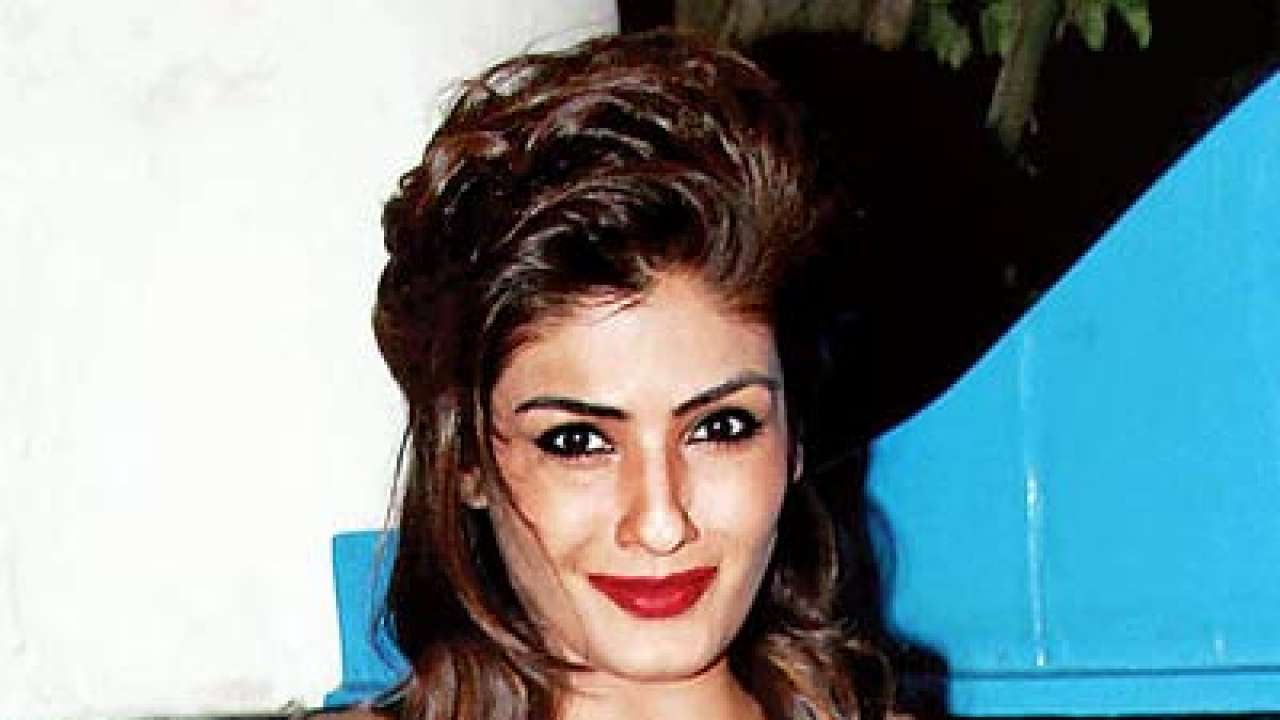 State should ban non-eco friendly idols: Raveena Tandon Thadani