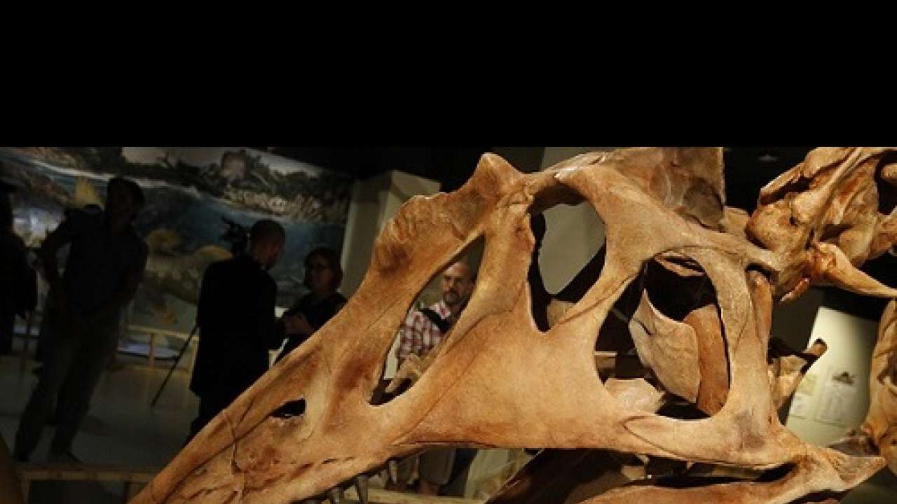 largest water dinosaur predator