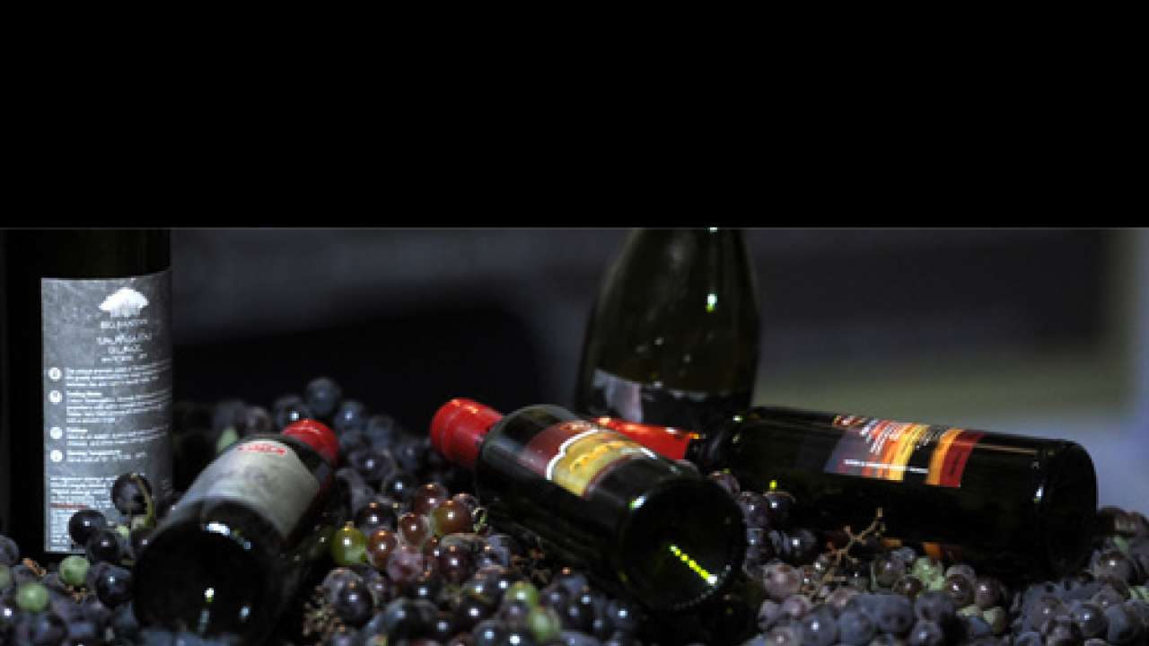 Arunachal Pradesh kiwi's wine launched