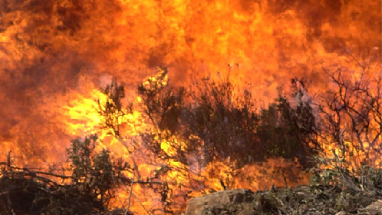 Destructive wildfire rips through 150 homes in Northern California