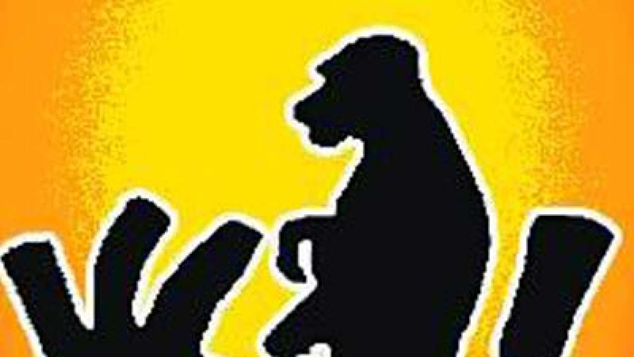 On world rabies day, here's all you need to know about rabies and its prevention