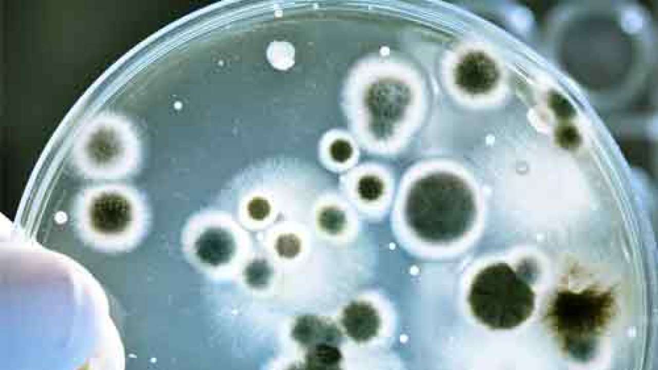System to deliver drugs to individual cells of human body developed