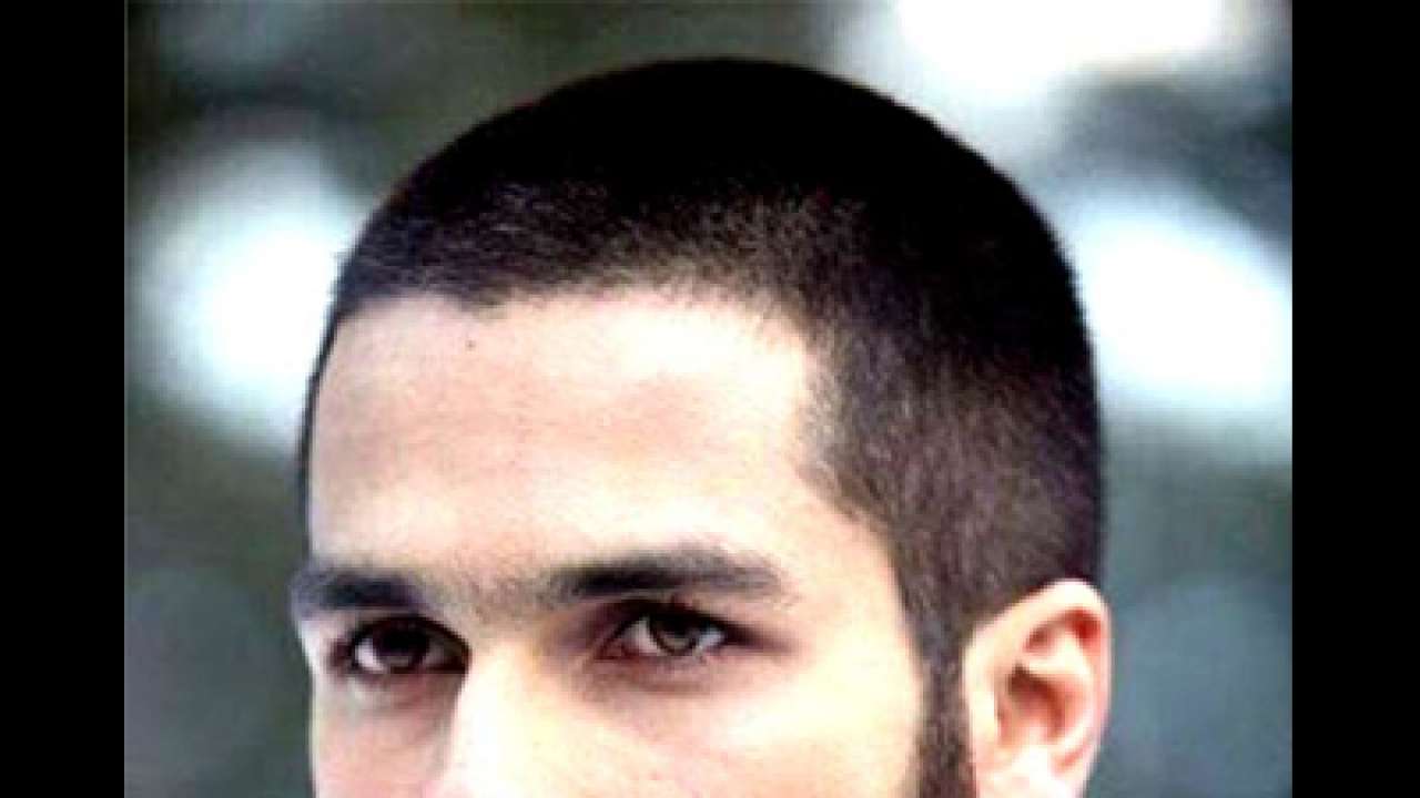 Shahid Kapoor's 'Haider' nets Rs  crore at the box office