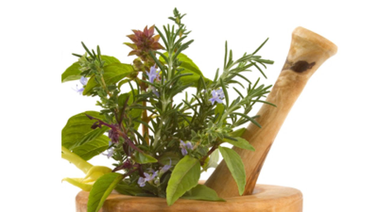 For paediatric developmental disorders, homeopathy is the answer: study