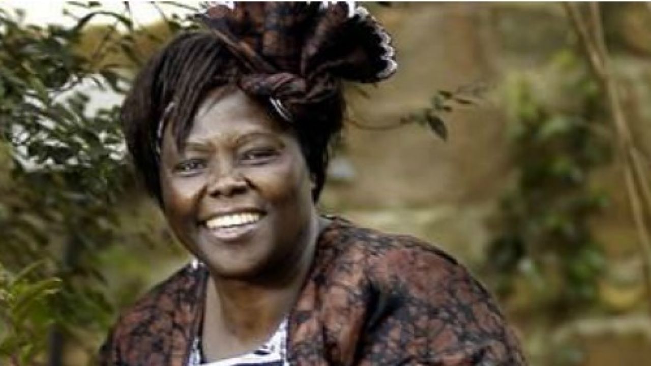 Wangari Maathai: A mission of peace for the environment