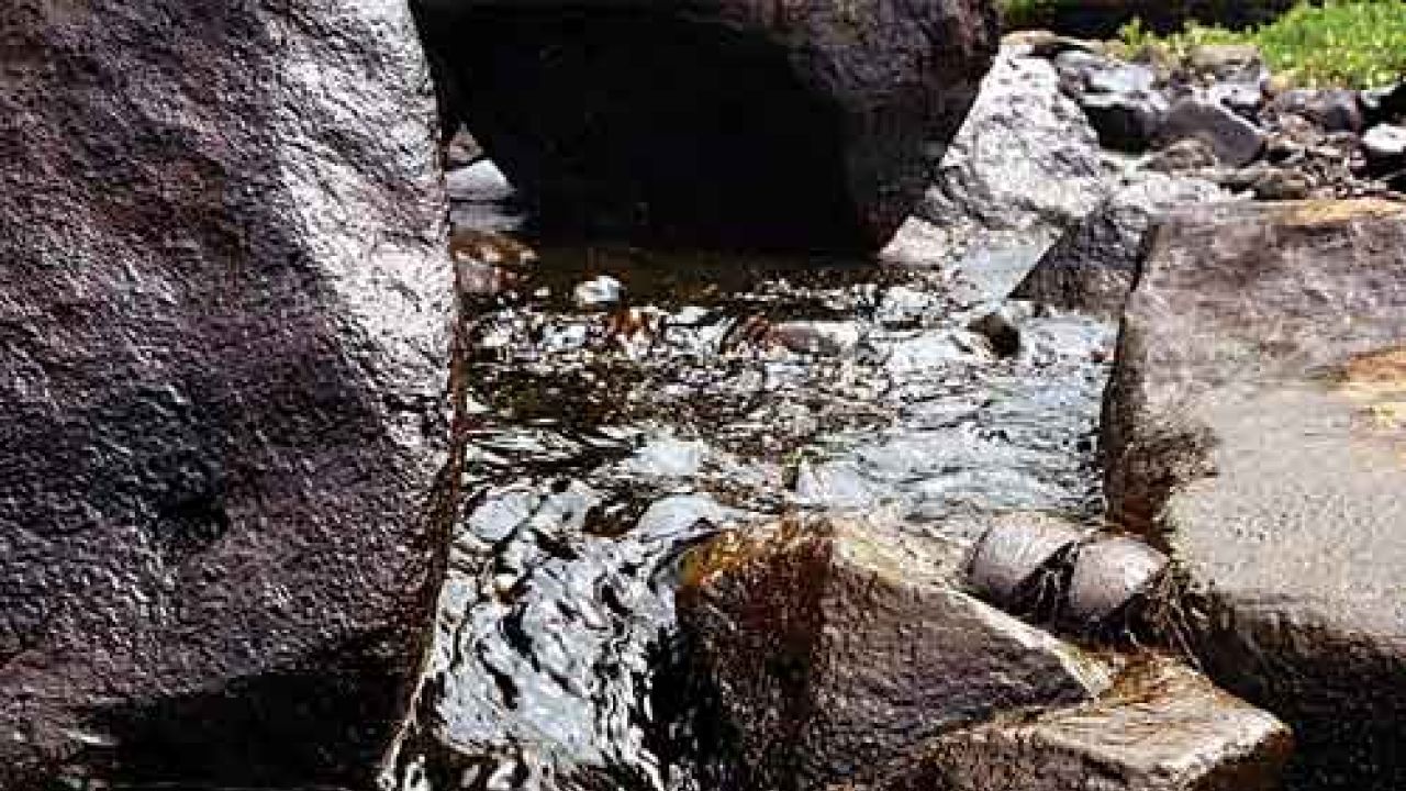 Oil spill floods israeli nature reserve, three people hurt