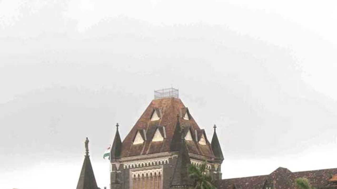 Bombay high court tells maharashtra civic bodies to take steps to prevent dengue
