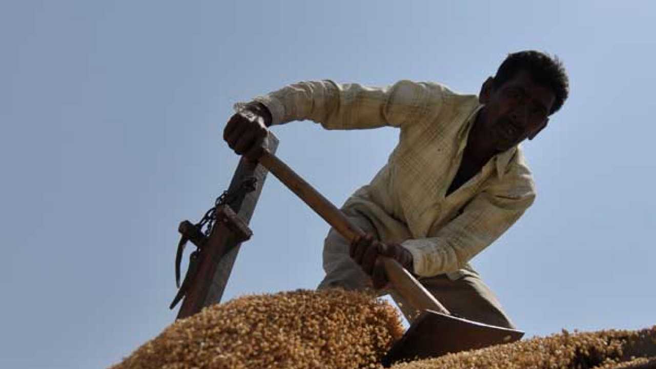 Punjab to get 'Krishi Karman' award