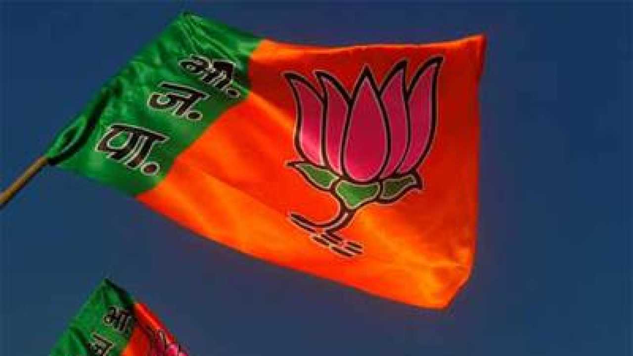 AAP Spending Rs 100 Crores On Poll Campaign: BJP