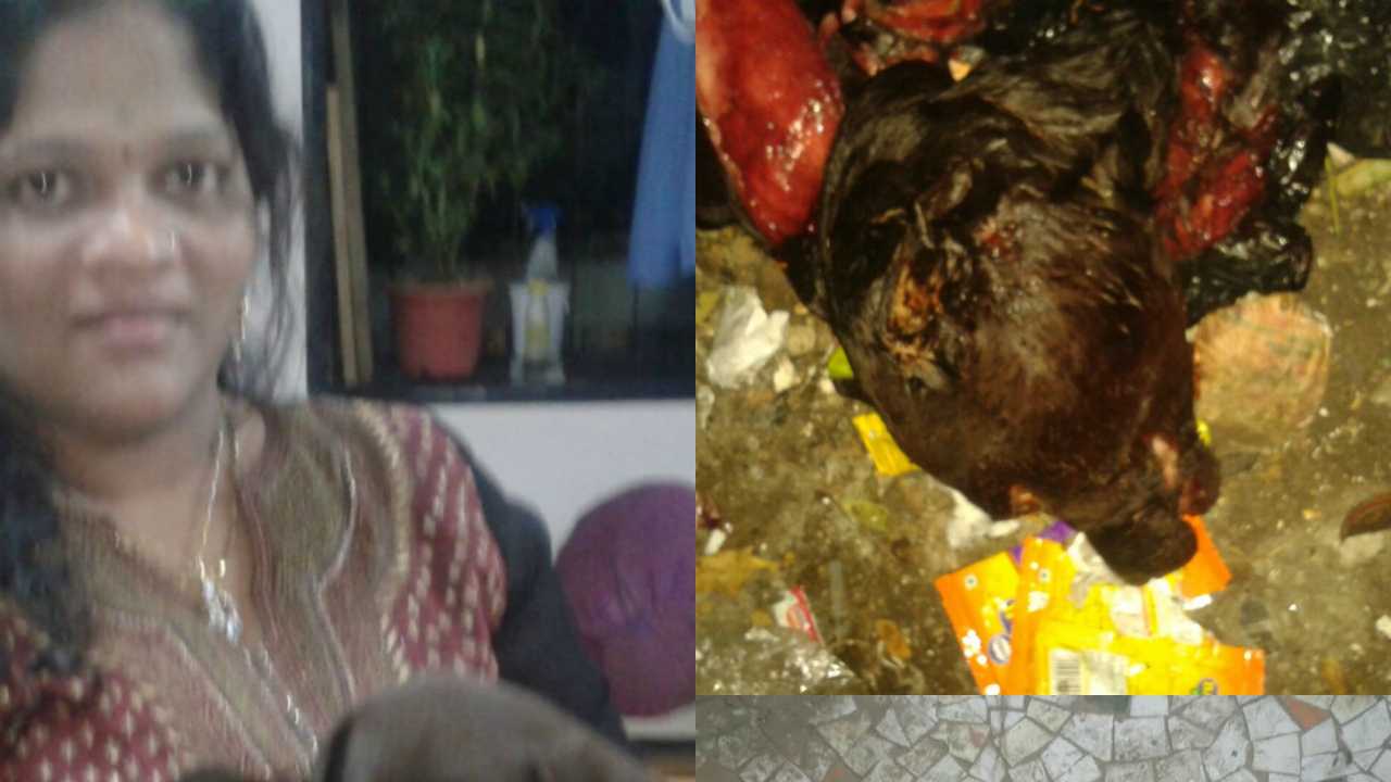 Two Arrested For Killing And Eating Neighbour's Pet Dog