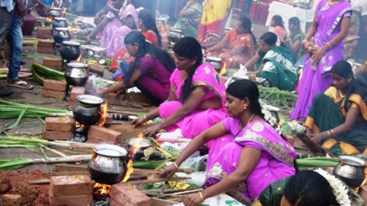 Pongal To Be Celebrated On January 15