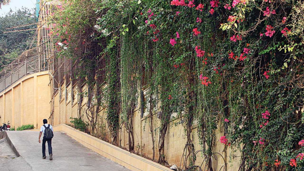 Poonam mahajan writes to sitaram kunte against shah rukh khan's illegal ramp