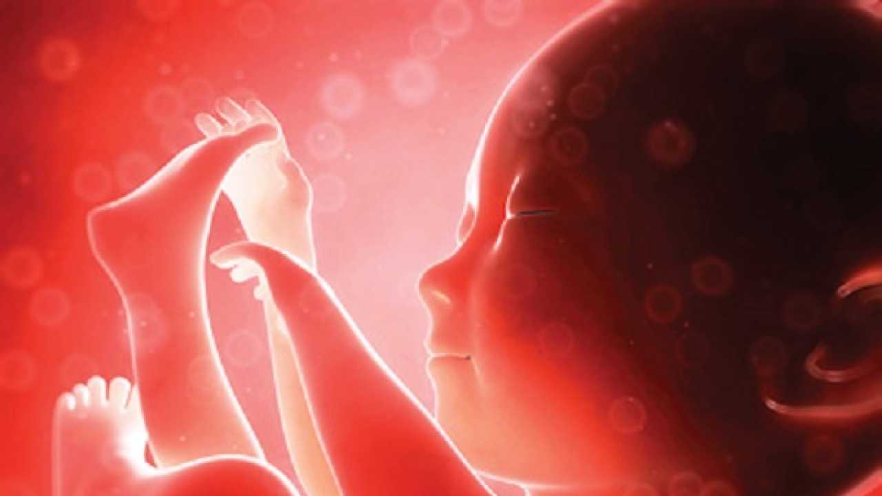 Baby girl born 'pregnant' with twin foetuses in Hong Kong