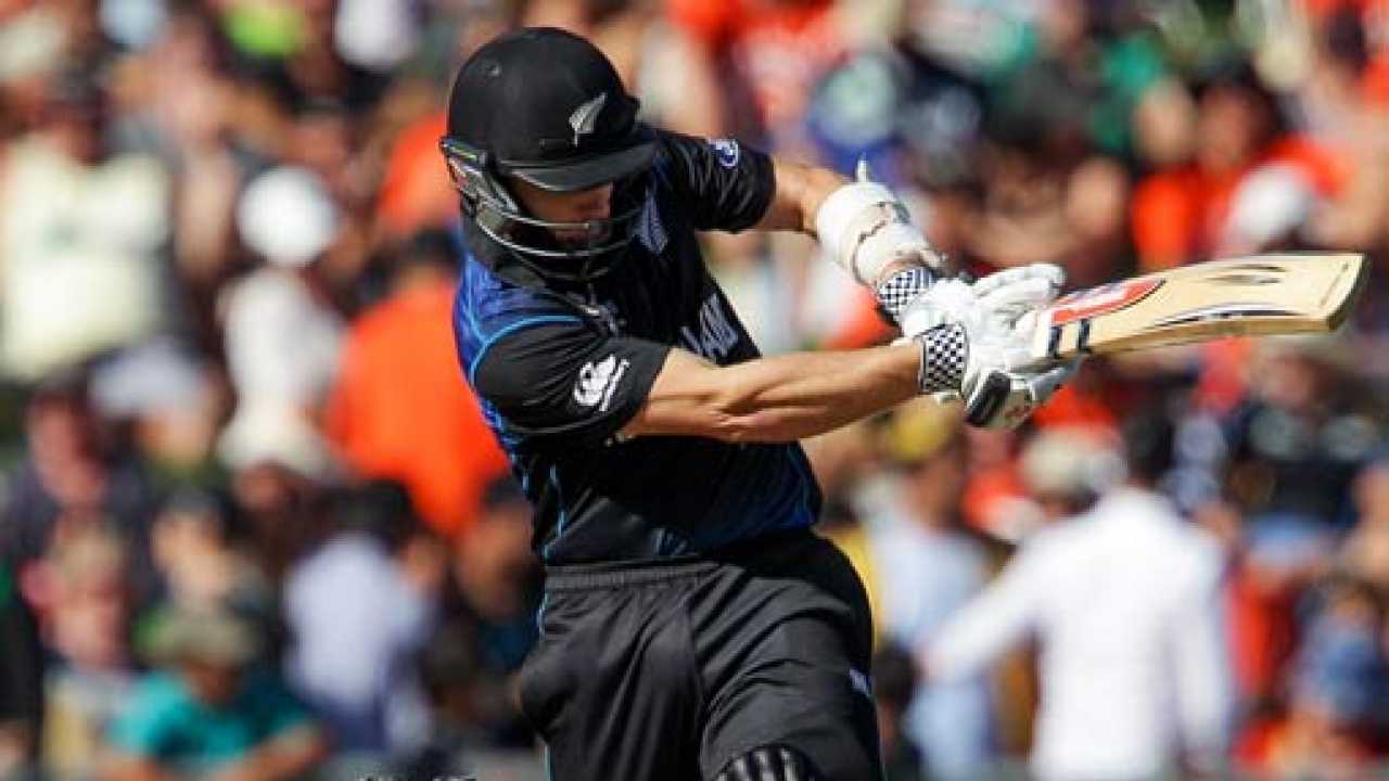 afghanistan versus new zealand t20 world cup highlights