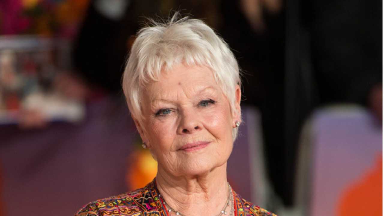 Dame Judi Dench finds it difficult to paint with weakening vision