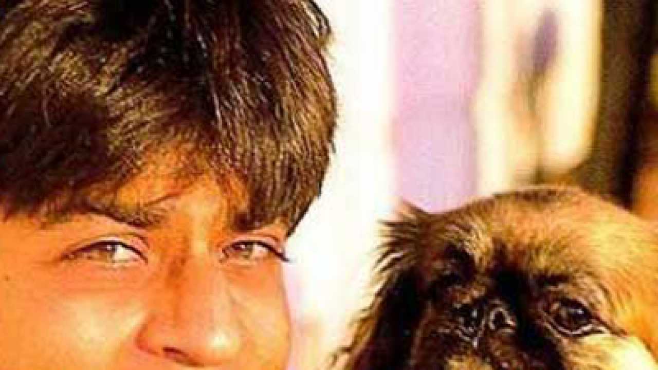 Shah Rukh Khan mourns the death of his pet dog Dash