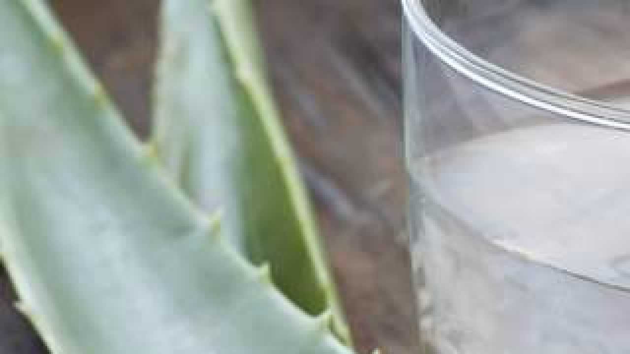 8 reasons why you should drink aloe vera juice!