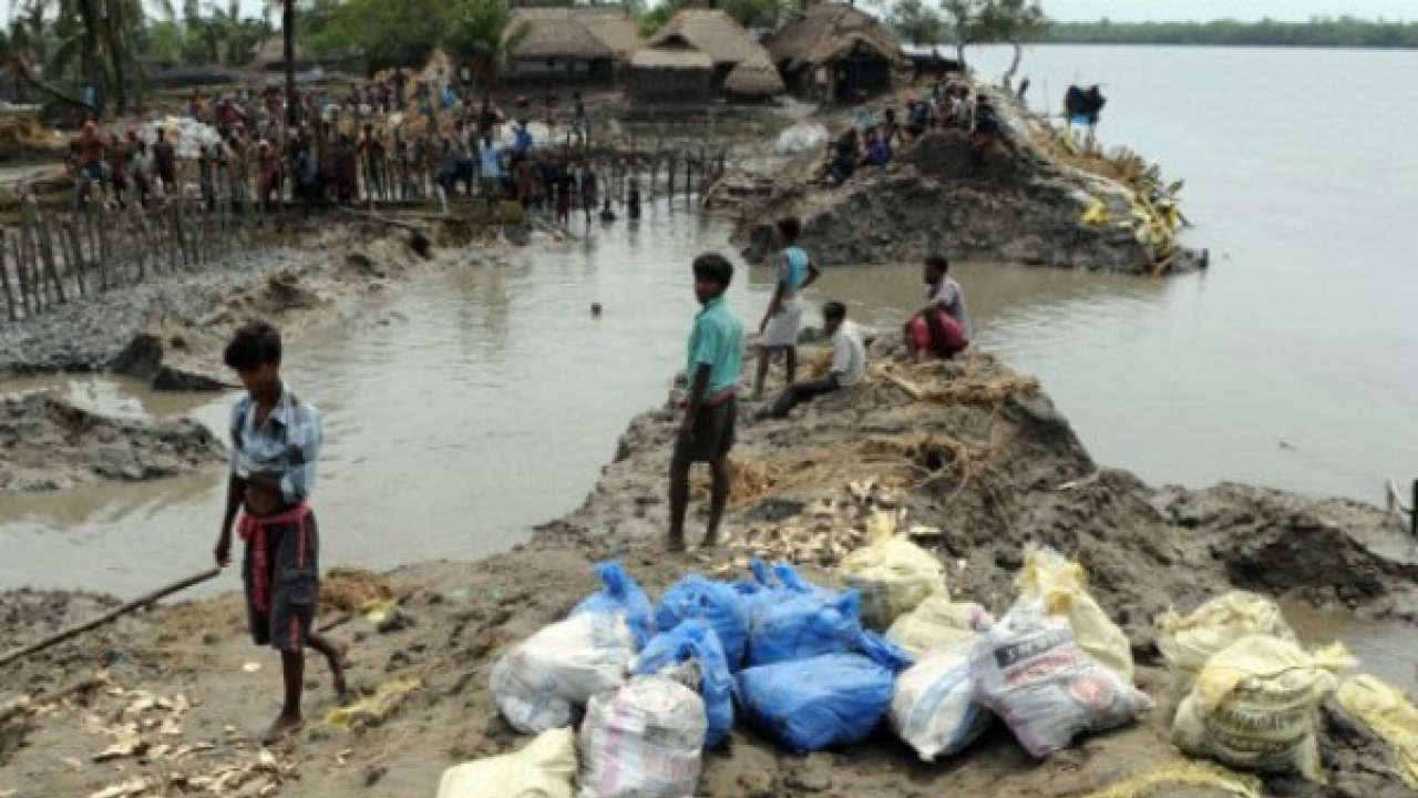 Why are locals fleeing the Sundarbans?