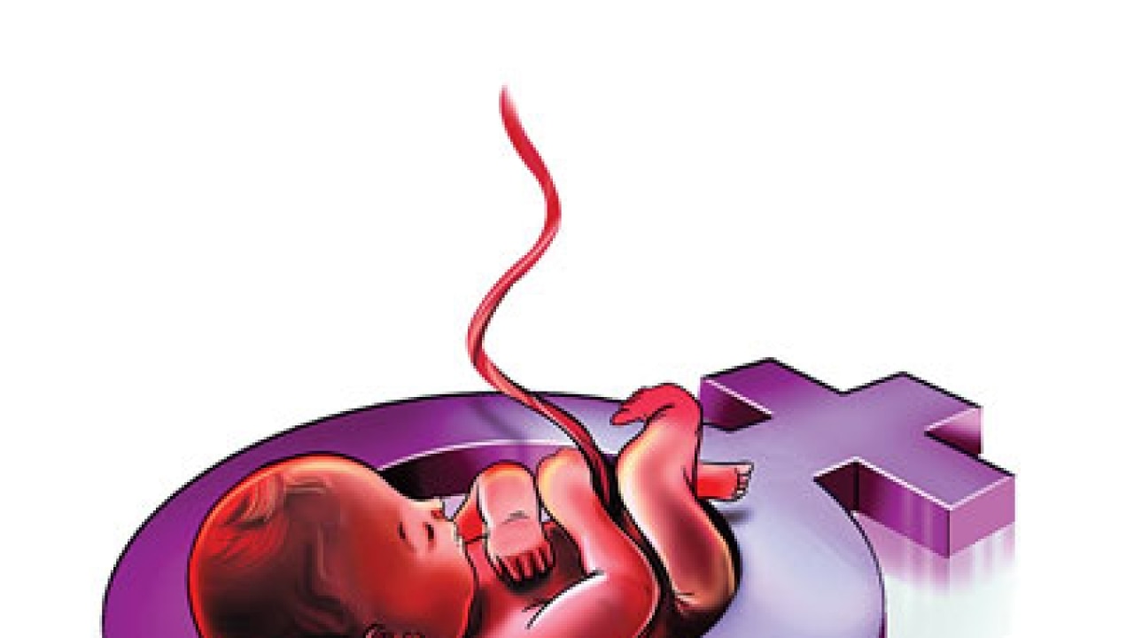 If strict laws can be there for cows, then why not against female foeticide,  ask Khaps